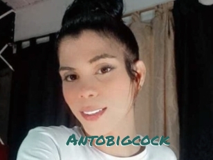 Antobigcock