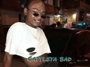 Cattleya_bad