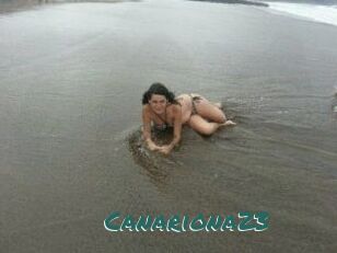 Canariona23