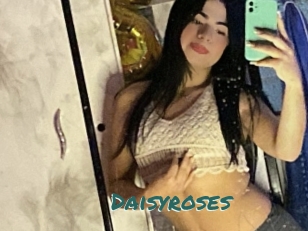 Daisyroses