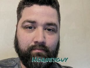 Horneyguy