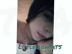 LittleflowerTS