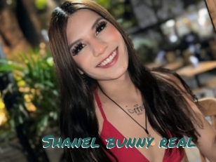 Shanel_bunny_real