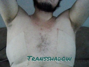 Transshadow