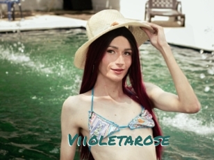 Viioletarose