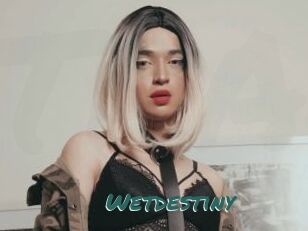 Wetdestiny