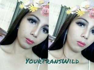 YourTransWild